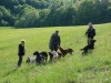 Pes v pohode - hotel pre psy | výcvik psov | venčenie psov | poradenstvo | Bratislava, Trnava a okolie