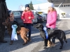 Pes v pohode - hotel pre psy | výcvik psov | venčenie psov | poradenstvo | Bratislava, Trnava a okolie